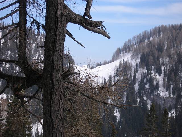 Visevnik 48.JPG - Foto: Miha Staut